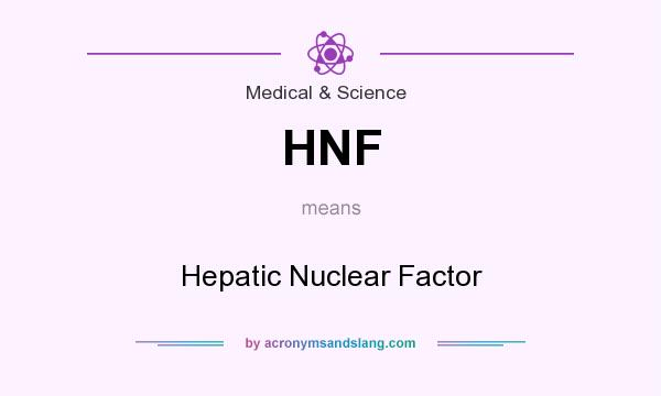 What does HNF mean? It stands for Hepatic Nuclear Factor