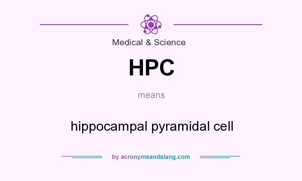 What does HPC mean? It stands for hippocampal pyramidal cell
