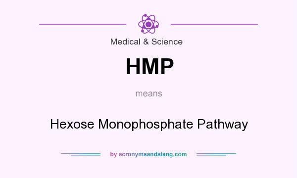 What does HMP mean? It stands for Hexose Monophosphate Pathway