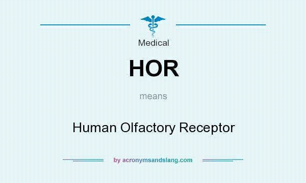 What does HOR mean? It stands for Human Olfactory Receptor