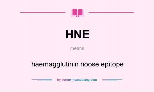 What does HNE mean? It stands for haemagglutinin noose epitope