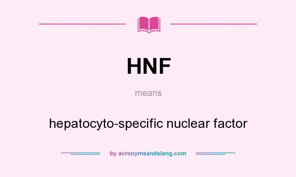 What does HNF mean? It stands for hepatocyto-specific nuclear factor