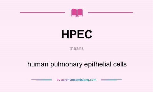 What does HPEC mean? It stands for human pulmonary epithelial cells