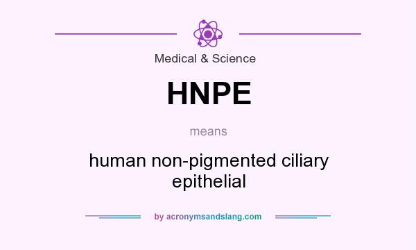 What does HNPE mean? It stands for human non-pigmented ciliary epithelial