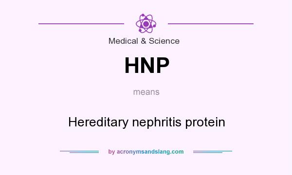 What does HNP mean? It stands for Hereditary nephritis protein