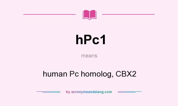 What does hPc1 mean? It stands for human Pc homolog, CBX2