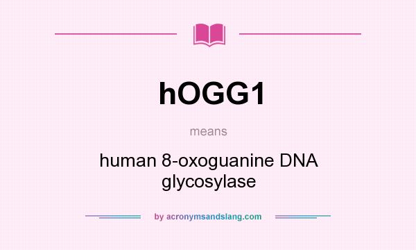 What does hOGG1 mean? It stands for human 8-oxoguanine DNA glycosylase