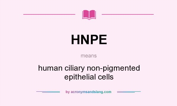 What does HNPE mean? It stands for human ciliary non-pigmented epithelial cells
