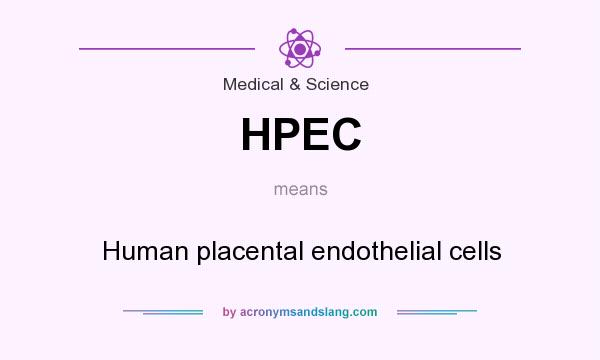 What does HPEC mean? It stands for Human placental endothelial cells