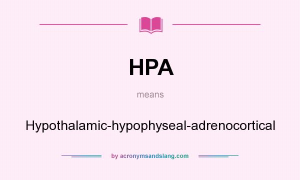 What does HPA mean? It stands for Hypothalamic-hypophyseal-adrenocortical