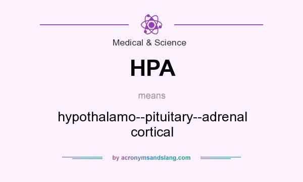 What does HPA mean? It stands for hypothalamo--pituitary--adrenal cortical