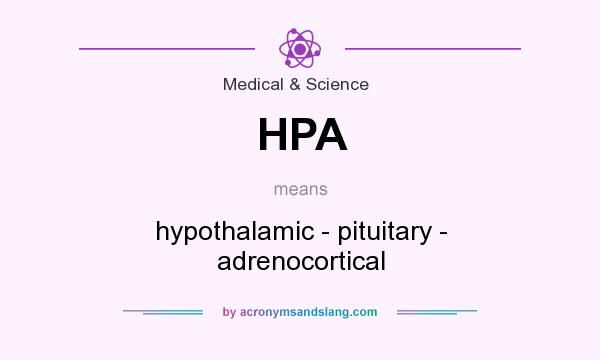 What does HPA mean? It stands for hypothalamic - pituitary - adrenocortical