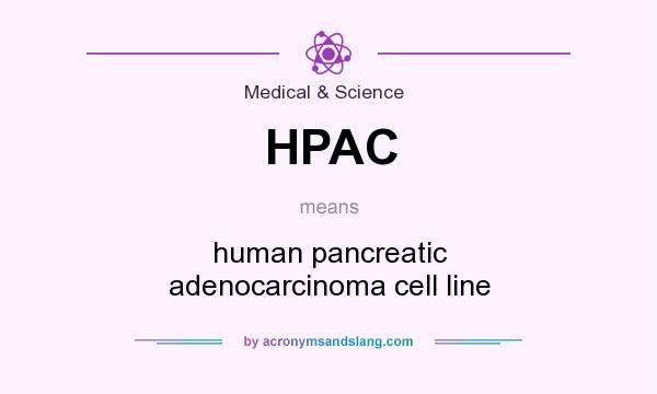 What does HPAC mean? It stands for human pancreatic adenocarcinoma cell line