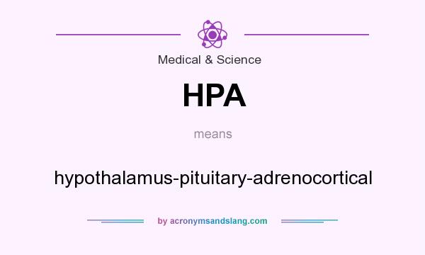 What does HPA mean? It stands for hypothalamus-pituitary-adrenocortical