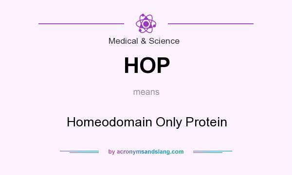 What does HOP mean? It stands for Homeodomain Only Protein