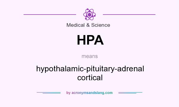 What does HPA mean? It stands for hypothalamic-pituitary-adrenal cortical