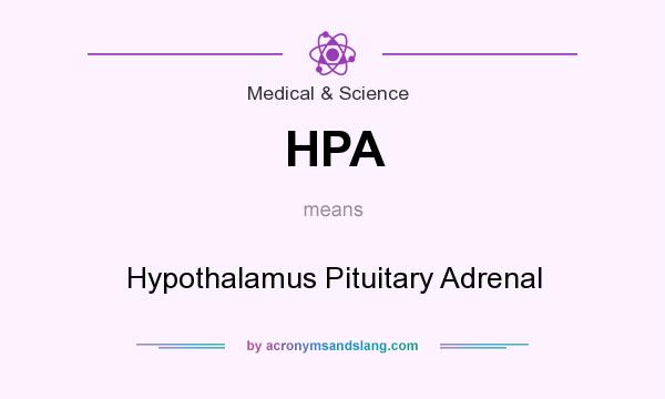 What does HPA mean? It stands for Hypothalamus Pituitary Adrenal