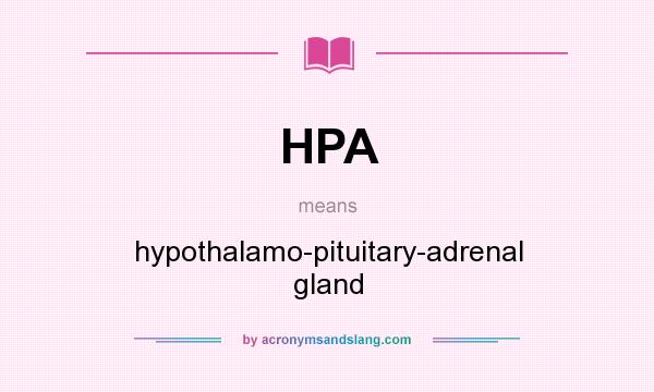 What does HPA mean? It stands for hypothalamo-pituitary-adrenal gland