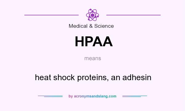 What does HPAA mean? It stands for heat shock proteins, an adhesin
