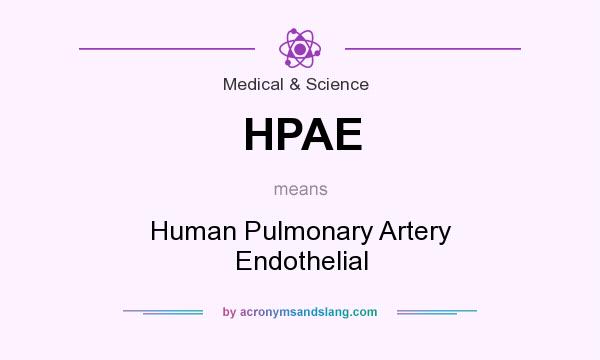 What does HPAE mean? It stands for Human Pulmonary Artery Endothelial