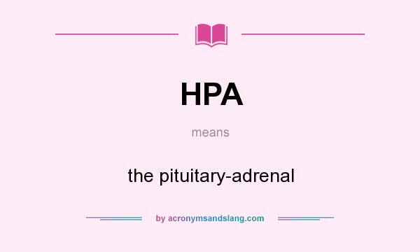 What does HPA mean? It stands for the pituitary-adrenal