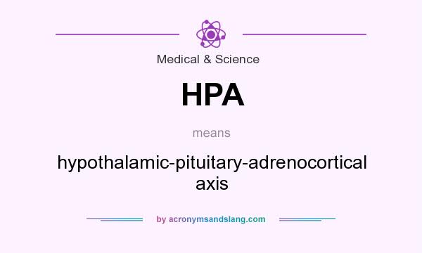 What does HPA mean? It stands for hypothalamic-pituitary-adrenocortical axis
