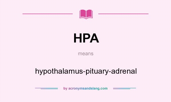What does HPA mean? It stands for hypothalamus-pituary-adrenal