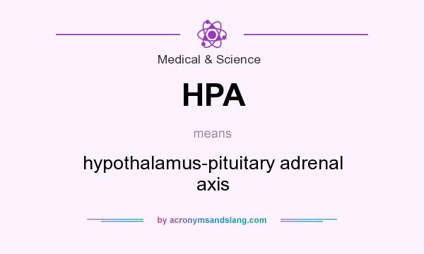What does HPA mean? It stands for hypothalamus-pituitary adrenal axis