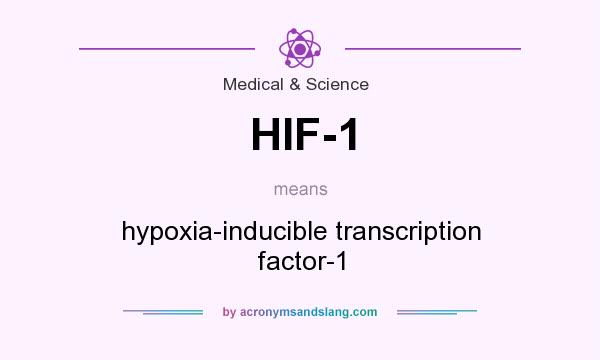 What does HIF-1 mean? It stands for hypoxia-inducible transcription factor-1