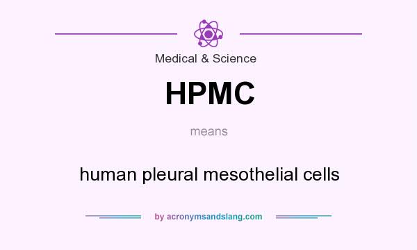 What does HPMC mean? It stands for human pleural mesothelial cells