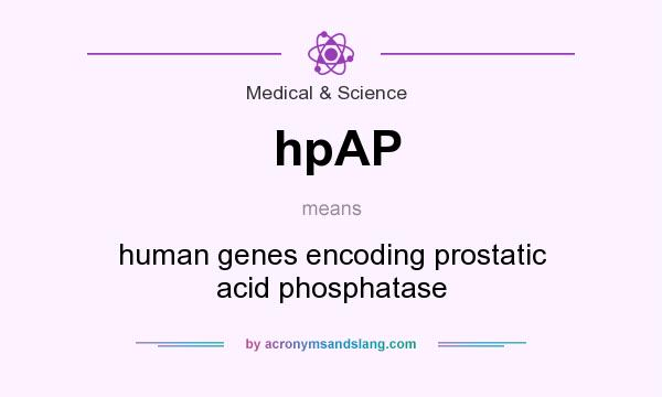What does hpAP mean? It stands for human genes encoding prostatic acid phosphatase