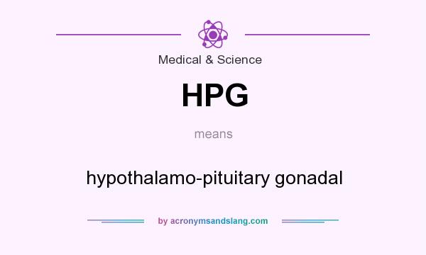 What does HPG mean? It stands for hypothalamo-pituitary gonadal