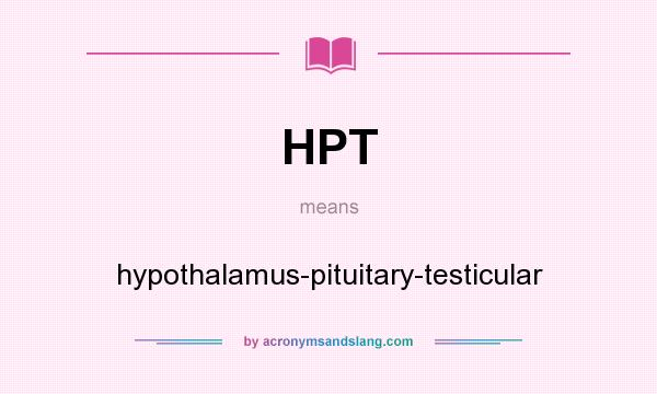 What does HPT mean? It stands for hypothalamus-pituitary-testicular