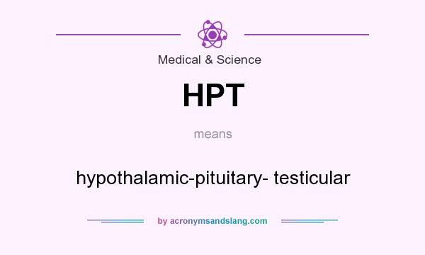 What does HPT mean? It stands for hypothalamic-pituitary- testicular