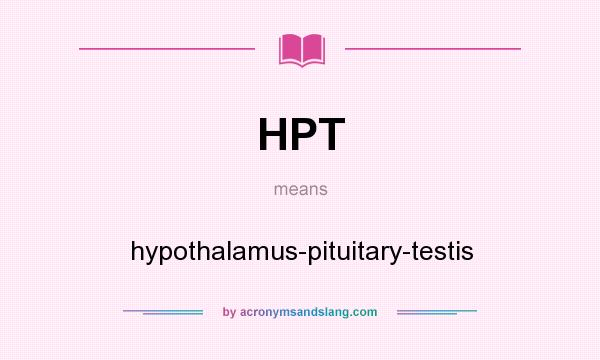 What does HPT mean? It stands for hypothalamus-pituitary-testis