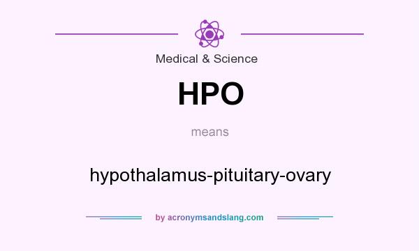 What does HPO mean? It stands for hypothalamus-pituitary-ovary