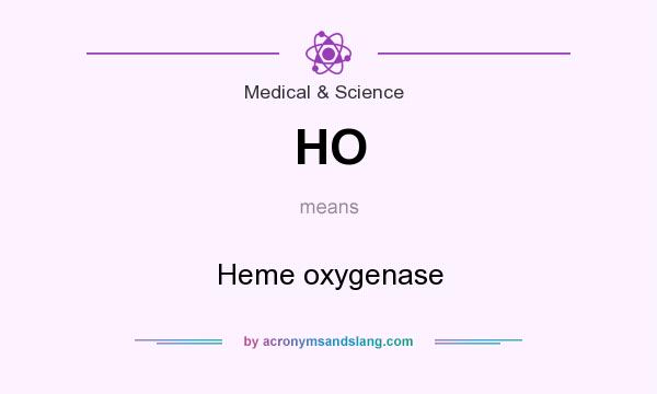 What does HO mean? It stands for Heme oxygenase