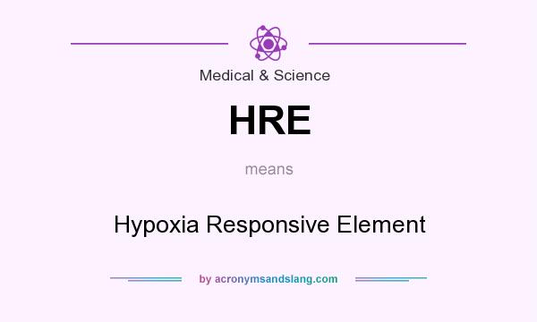 What does HRE mean? It stands for Hypoxia Responsive Element