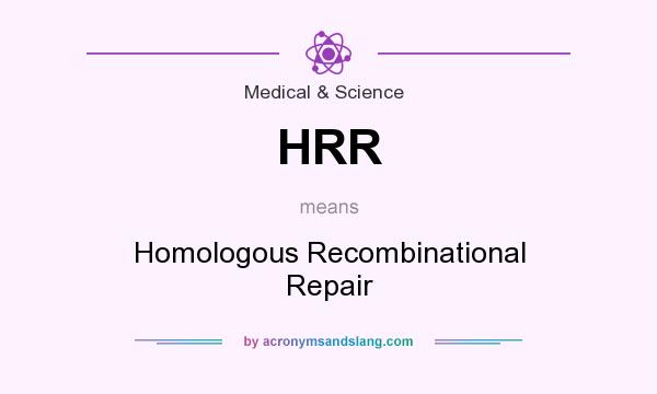 What does HRR mean? It stands for Homologous Recombinational Repair