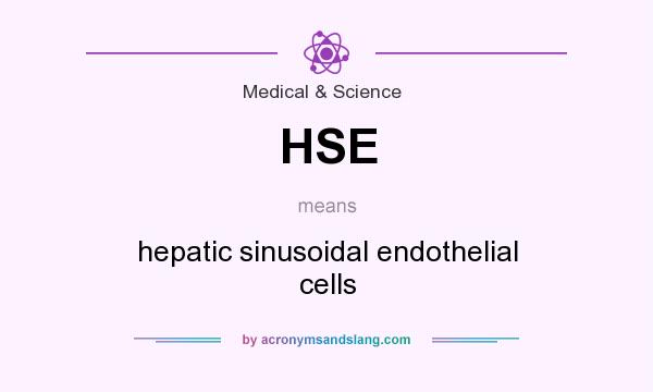 What does HSE mean? It stands for hepatic sinusoidal endothelial cells