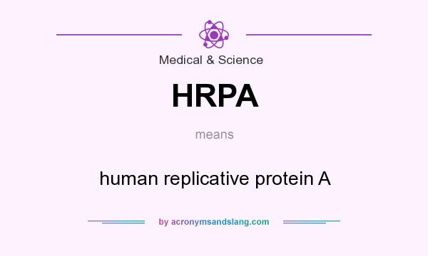 What does HRPA mean? It stands for human replicative protein A
