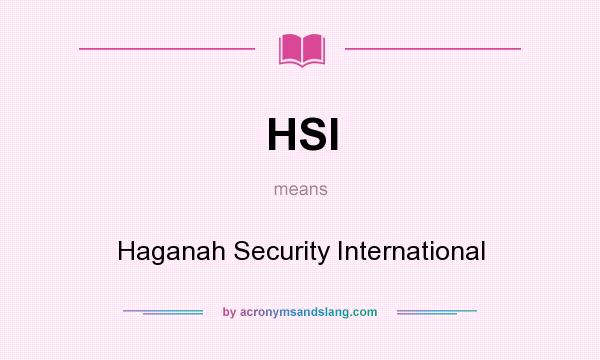 What does HSI mean? It stands for Haganah Security International