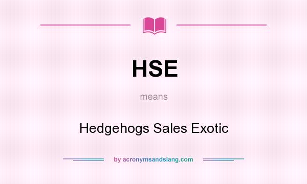 What does HSE mean? It stands for Hedgehogs Sales Exotic