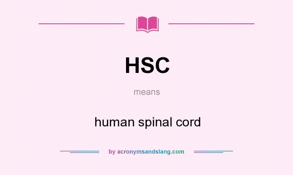 What does HSC mean? It stands for human spinal cord