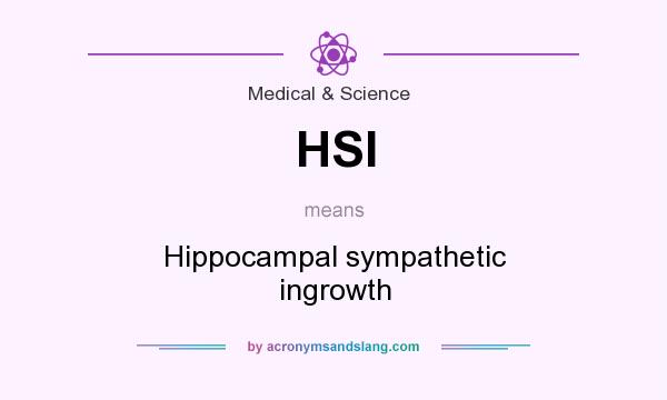What does HSI mean? It stands for Hippocampal sympathetic ingrowth