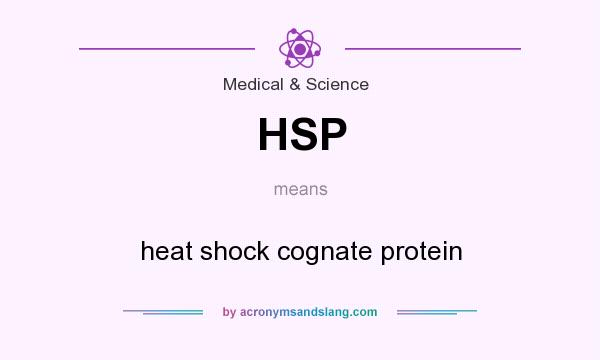 What does HSP mean? It stands for heat shock cognate protein