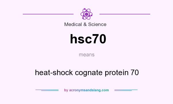 What does hsc70 mean? It stands for heat-shock cognate protein 70