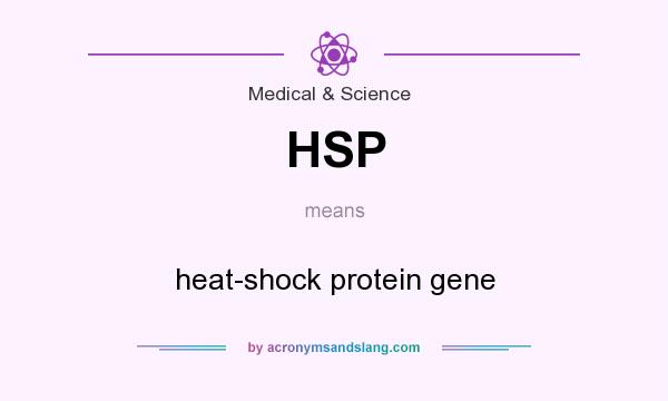 What does HSP mean? It stands for heat-shock protein gene