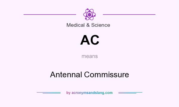 What does AC mean? It stands for Antennal Commissure