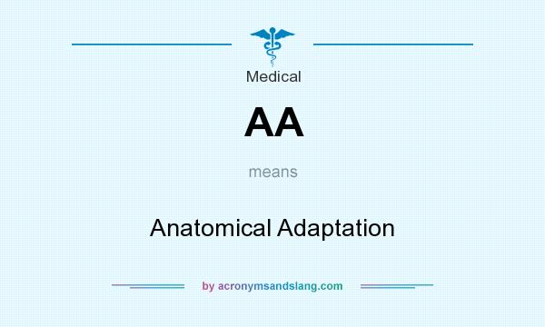 What does AA mean? It stands for Anatomical Adaptation